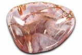 Colorful Polished Petrified Wood Bowl - Madagascar #346829-1